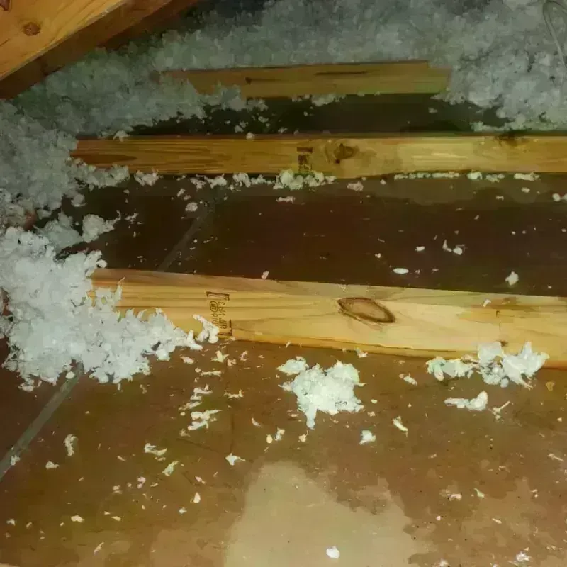 Attic Water Damage in Cherry Creek, CO