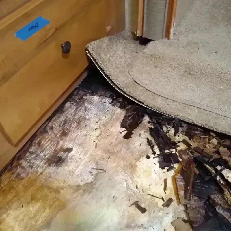 Best Wood Floor Water Damage Service in Cherry Creek, CO